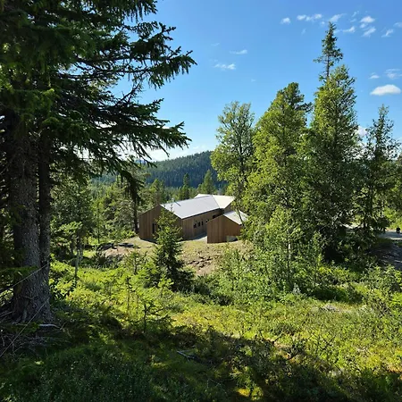 בית נופש Architect-designed At Hallandsfjellet Rodberg