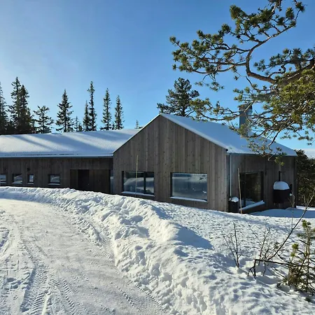 Architect-designed At Hallandsfjellet Rodberg