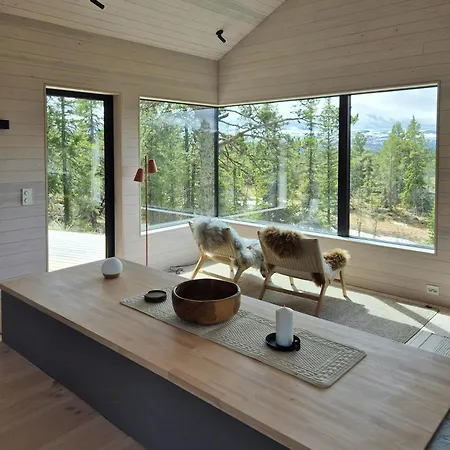 Architect-designed At Hallandsfjellet Rodberg