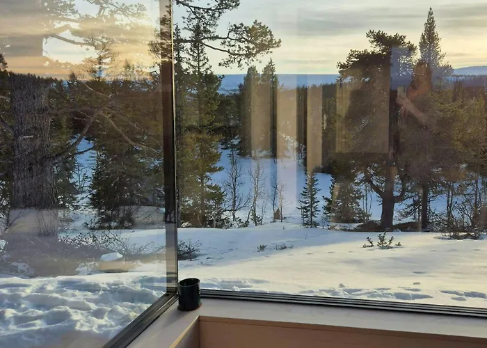 度假居 Architect-designed At Hallandsfjellet Rodberg
